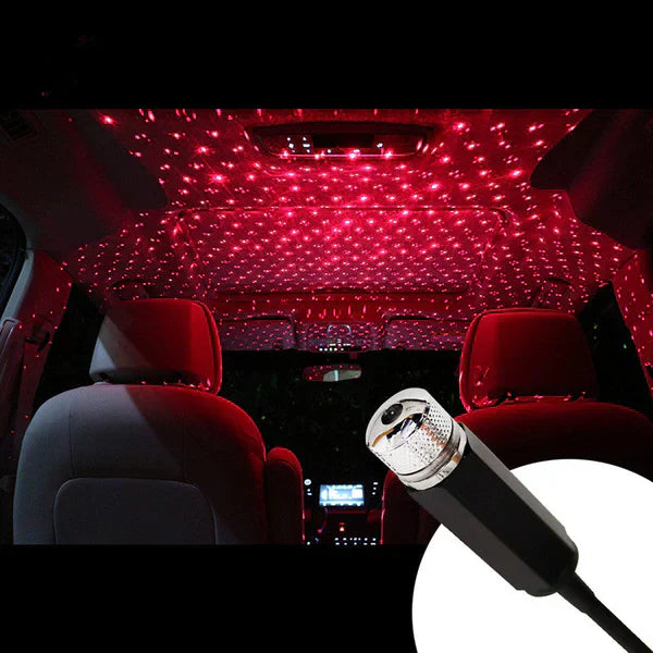 Marketplace Gulf™ Star Decoration Light